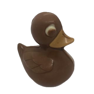Canard en Chocolat
